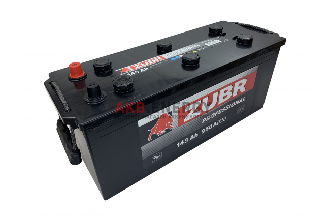 ZUBR  PROFESSIONAL -145 a/h L