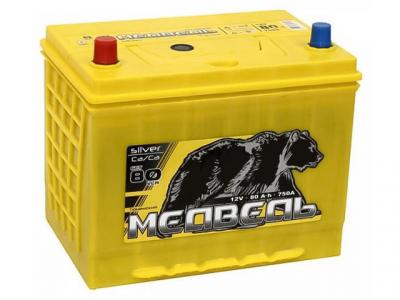 Медведь SILVER 80 a/h Азия