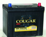   COUGAR ASIA (80d 26l)