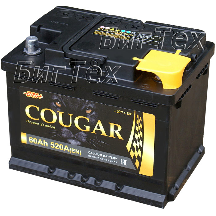 COUGAR -Energy 60a/h